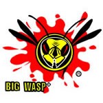 Big Wasp